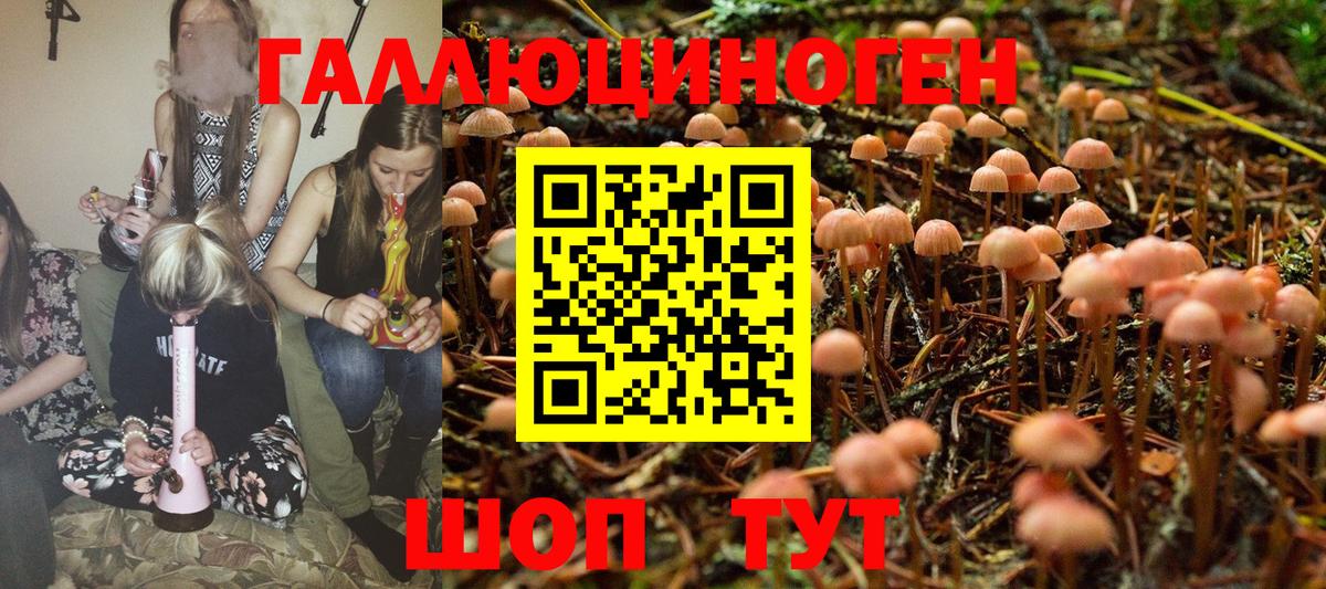 Галлюциногенные грибы MAGIC MUSHROOMS Медногорск