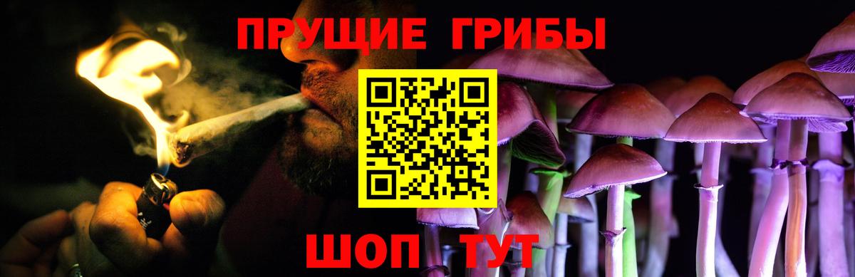 Медногорск  Псилоцибиновые грибы ЛСД  Вход с VPN  Галлюциногенные грибы прущие грибы 