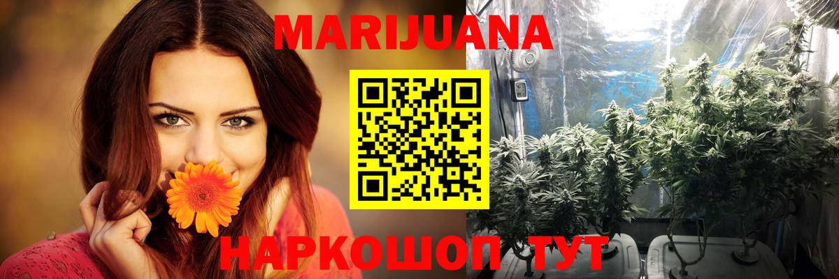 Бошки марихуана Ganja  Бошки Шишки White Widow  Медногорск  Вход с VPN 